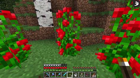 I really hope you enjoyed this video and can show it by liking the video and and considering a subscription to m. How to get Rose Bush - Minecraft - YouTube