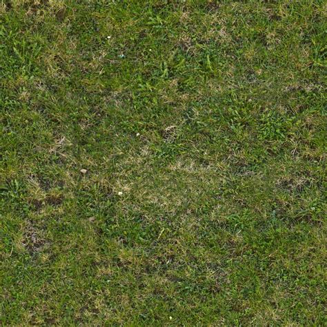Seamless Tileable Grass Texture By Demolitiondan On Deviantart Grass