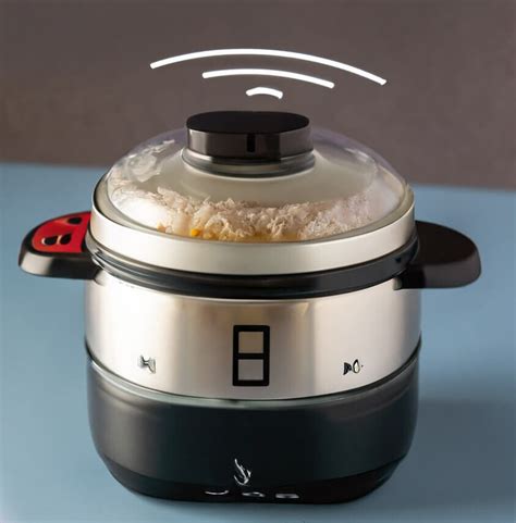 Dash Mini Rice Cooker Recipes Versatile Recipes And Easy Cooking