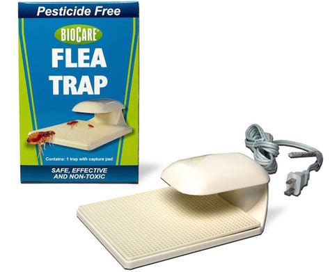 Whats The Best Flea Trap And Do Flea Traps Even Work Pest Hacks