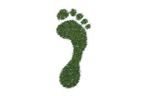 5 Things You Could Do To Reduce Your Carbon Footprint - Manchester Mummy