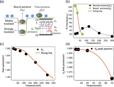 Localized State Excitons In Moxw1xse2 Monolayers A Illustration Of