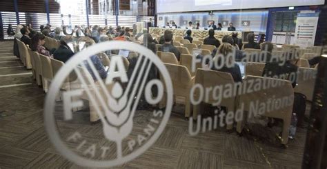 The headquarters of fao is in rome, italy. Internship Programme at Food and Agriculture Organization ...