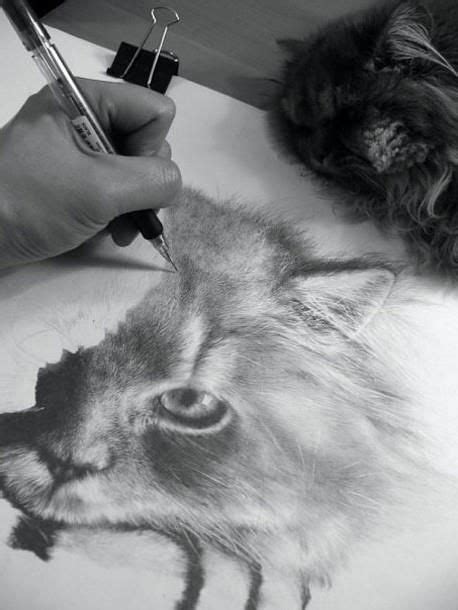 Photorealistic Pencil Drawings By Paul Lung Pencil Portrait Drawing