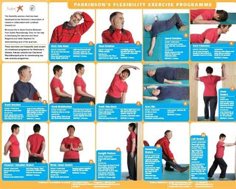 A4 Exercise Chart Parkinsons Flxibility Exercise Program The Bigger