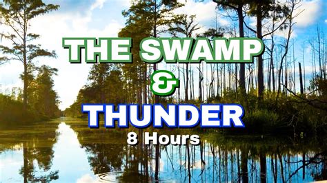 Fall Asleep In Mins Listening To Thunder By The Swamp Youtube