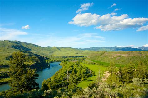 Landscape Of The Green Wooded River Valley Idaho Image Free Stock