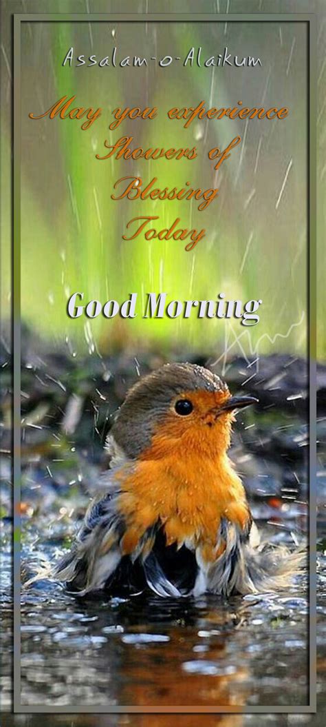 Good Morning Quotes With Love Birds Sunday Morning Wishes