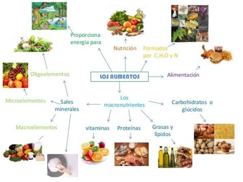 Mapas mentales conceptuales y cuadros sinópticos sobre alimentos