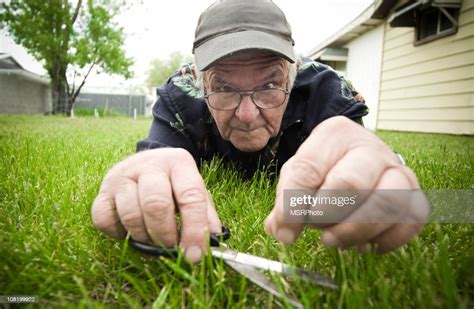 Man Cutting Grass With Scissors High Res Stock Photo Getty Images