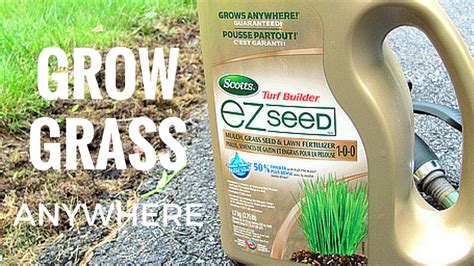 How To Grow Grass Anywhere With Scotts Ez Seed
