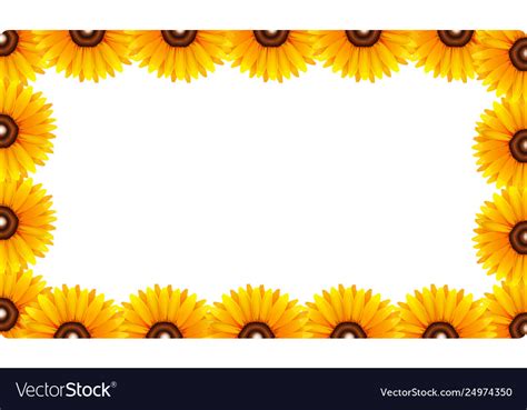 A Sunflower Border Template Royalty Free Vector Image