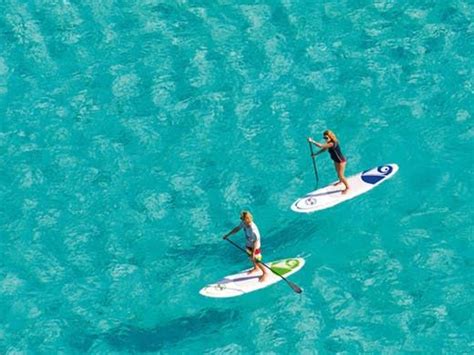 The Best Stand Up Paddle Boarding Spots In Auckland New Zealand