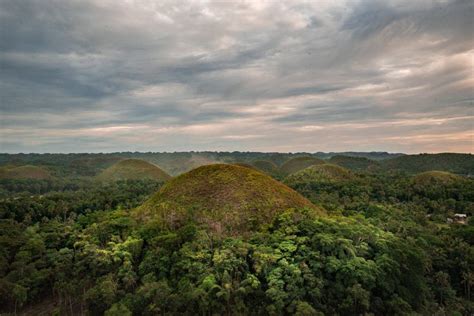 Chocolate Hills On Bohol Island Complete Guide