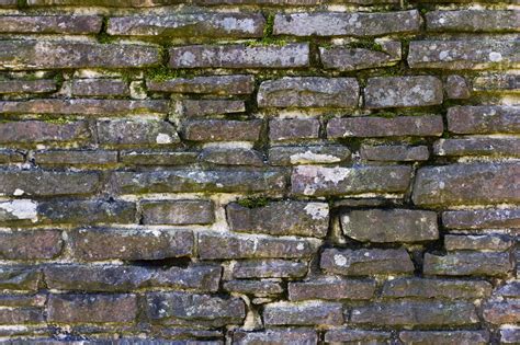 Stone Wall Texture Covered With Moss Photo 1565 Motosha Free