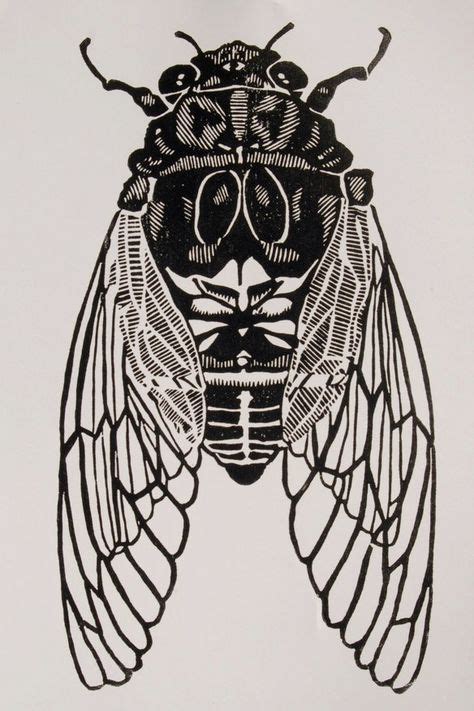 Cicada By Christopherwassell On Etsy My Dear Friend One Of My Favorite Artists