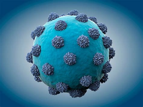 Molecular diagnostics of hepatitis c virus infection: VHC: EL VIRUS DE LA HEPATITIS C - Parte I - Punto Crítico ...