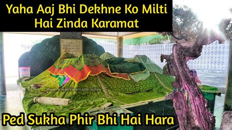 Yaha Aaj Bhi Dekhne Ko Milti Hai Zinda Karamat Hazrat Patte Shah