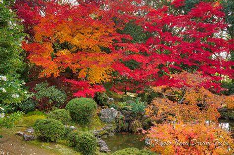Autumn Scenery At Zuishinin Temple Yamashina Ku Kyōto City Japan