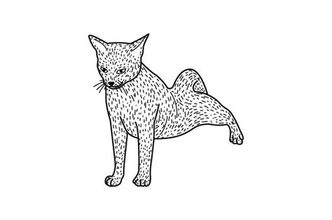 Up to 12,854 coloring pages for free. Abyssinian Cat Stretching. Line Art and Color (SVG Cut ...