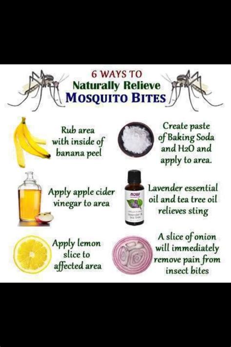 Natural Remedies For Mosquito Bites Or Other Stings Natural Mosquito