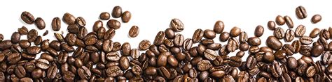 Coffee beans download free clip art with a transparent ...