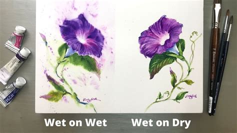 Watercolor Painting Wet On Wet Vs Wet On Dry Technique Morning Glory