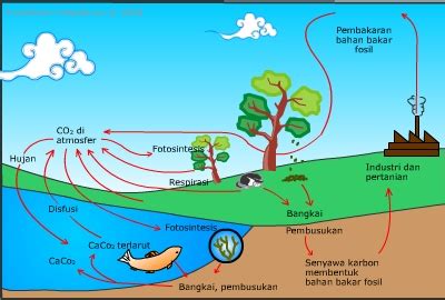 Siklus air atau siklus hidrologi adalah siklus yang menjelaskan pergerakan air secara kontinyu di permukaan darat, laut, dan udara. elearning SMA Nurul Iman: Aliran Energi dan Daur Materi