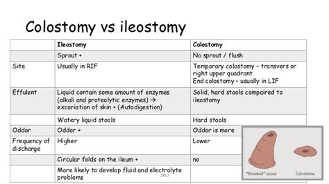 What Are Some Differences Between A Colostomy And An Ileostomy