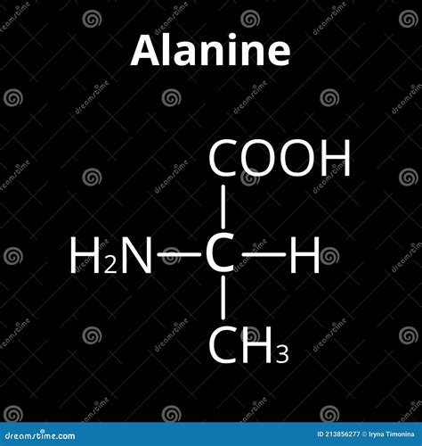 Alanine Is An Amino Acid Chemical Molecular Formula Alanine Amino Acid Stock Vector