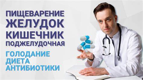 Пищеварение. Желудок, кишечник, поджелудочная железа. Голодание, диета Картинка - Пищеварение. Желудок, кишечник, поджелудочная железа. Голодание, диета