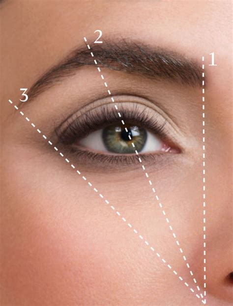 Kako da odredite pravi oblik obrva za vaše lice - Page 2 of 3 - WANNABE MAGAZINE