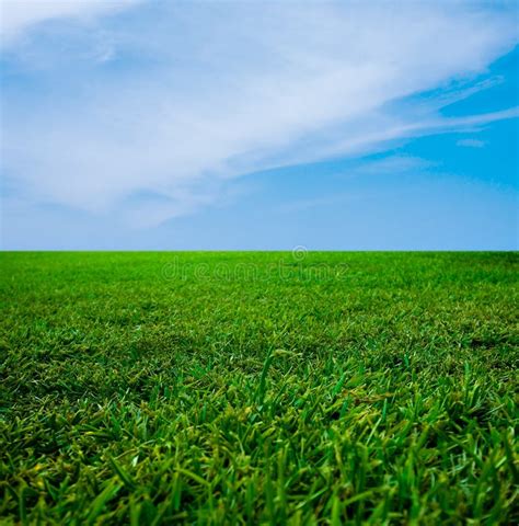 Green Grass And The Blue Sky Stock Photo Image Of Vista Horizon 5728464