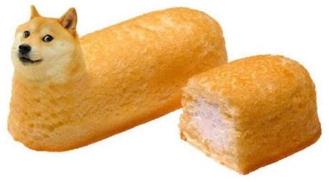 Twinkie Dog Twinkies Memes Lol