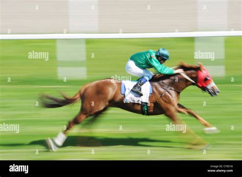 A Race Horse Running At Full Speed Magna Racino Ebreichsdorf Austria