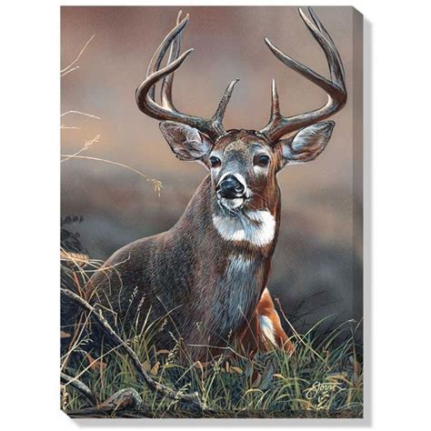 Majestic Whitetail Buck Wrapped Canvas Art Wildlife Paintings