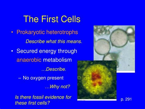 Ppt The Origin And Early Evolution Of Life Powerpoint Presentation