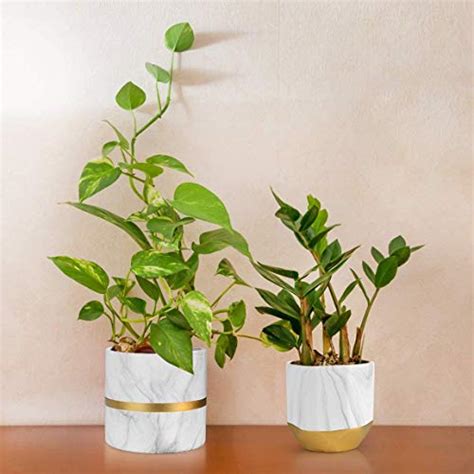 Homenote White Ceramic Flower Pot Garden Planters 648 Inch Pack 2
