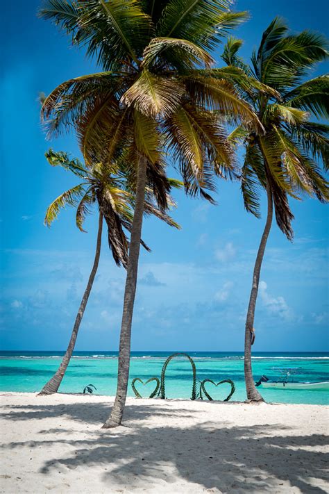 One Perfect Day On Saona Island Dominican Republic Global Girl Travels