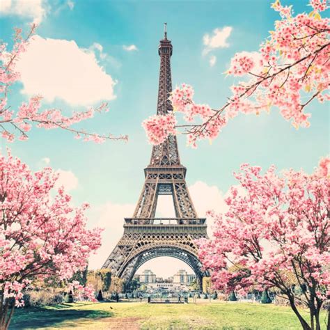 Cherry Blossom In Paris Stock Photos Pictures And Royalty Free Images