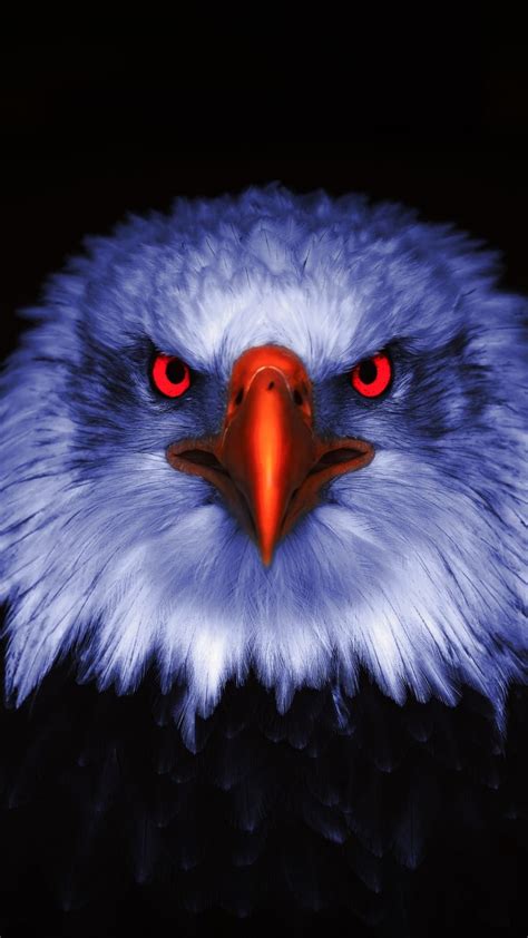 2160x3840 Eagle Raptor Red Eyes Close Up Wallpaper Eagle Images
