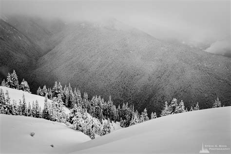 Cloudy Winter Day Hurricane Ridge Olympic National Park Washington 2016