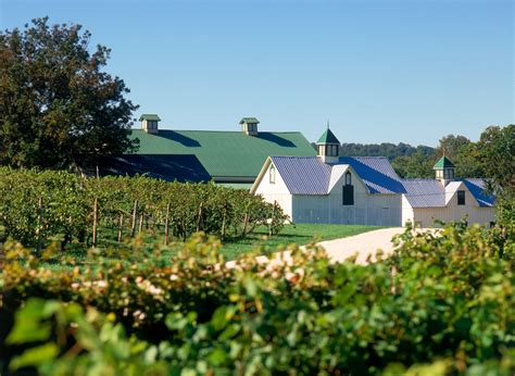 Boordy Vineyards Is The Best Winery Near Baltimore For A Day Trip