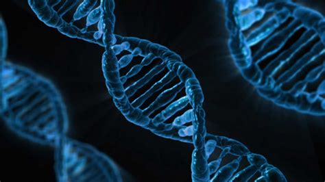 10 Amazing Examples Of Genetic Engineering We Already Have