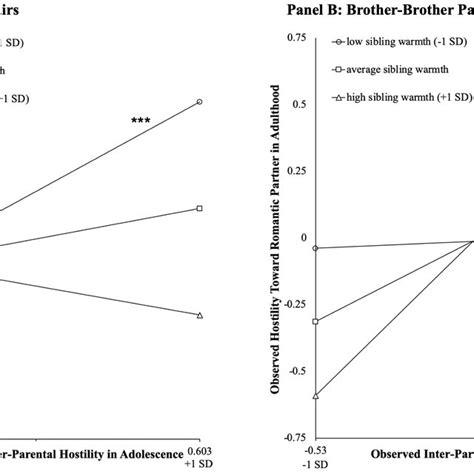 (PDF) Sibling Warmth Moderates the Intergenerational ...