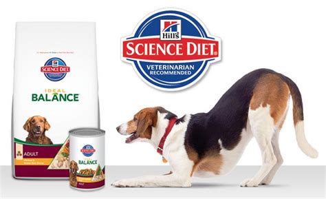 Hill's science diet provides more individualized foods for dogs with different health conditions and life stages than any other brand that comes to mind. Strategizing in the Checkout Lane