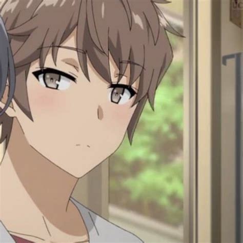 Couple 12 Sakuta Azusagawa é Mai Sakurajima Personagens De Anime