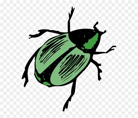 Mealworm Beetle Clipart Free Download Transparent Png Clipart Library