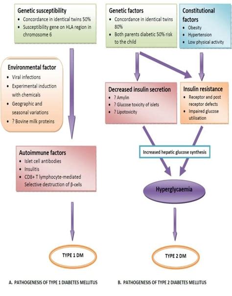 Pathophysiology Of Diabetes Mellitus Type 1 Schematic Diagram