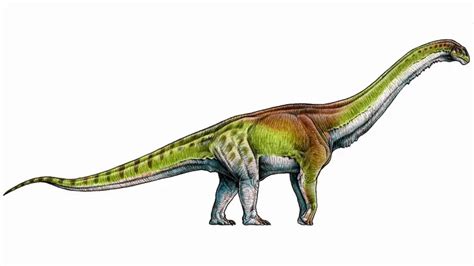 Cómo Era El Dinosaurio Más Grande De Todos Los Tiempos Según Los Científicos Argentinos Que Lo